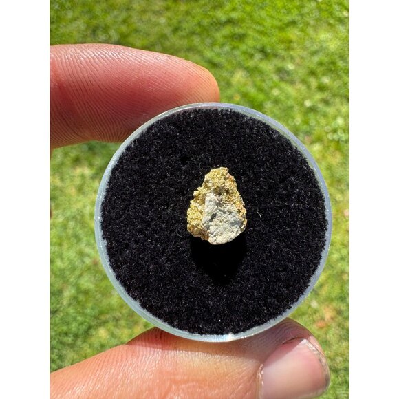 Gold on Quartz - California Native Gold Crystal -  0.65 grams - Picture 4 of 5